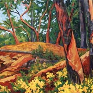 Arbutus trees with bold orange, red, and brown brush strokes. Yellow eild flowers with grass in the foreground, and evergreen trees in the background.