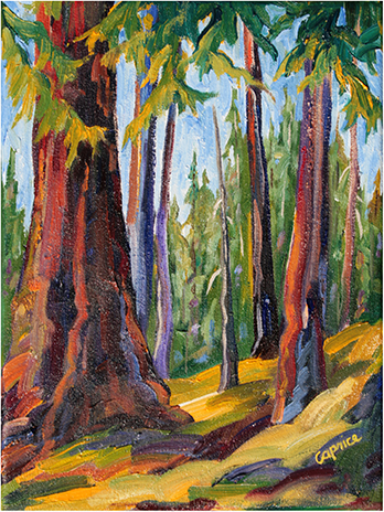 A stand of ponderosa pine trunks in a forest. The bark features red accents, and the ground features a yellow larch pine floor.