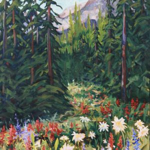 Kananaskis Wildflowers